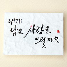 내게 남은 사랑