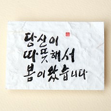 당신이 따뜻해서 봄이 왔습니다