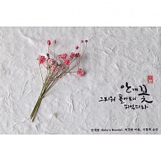 Baby's breath, 깨끗한 마음, 기쁨의 순간