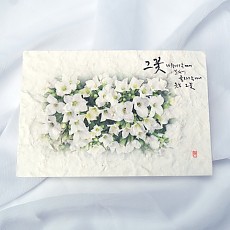 하얀 꽃다지