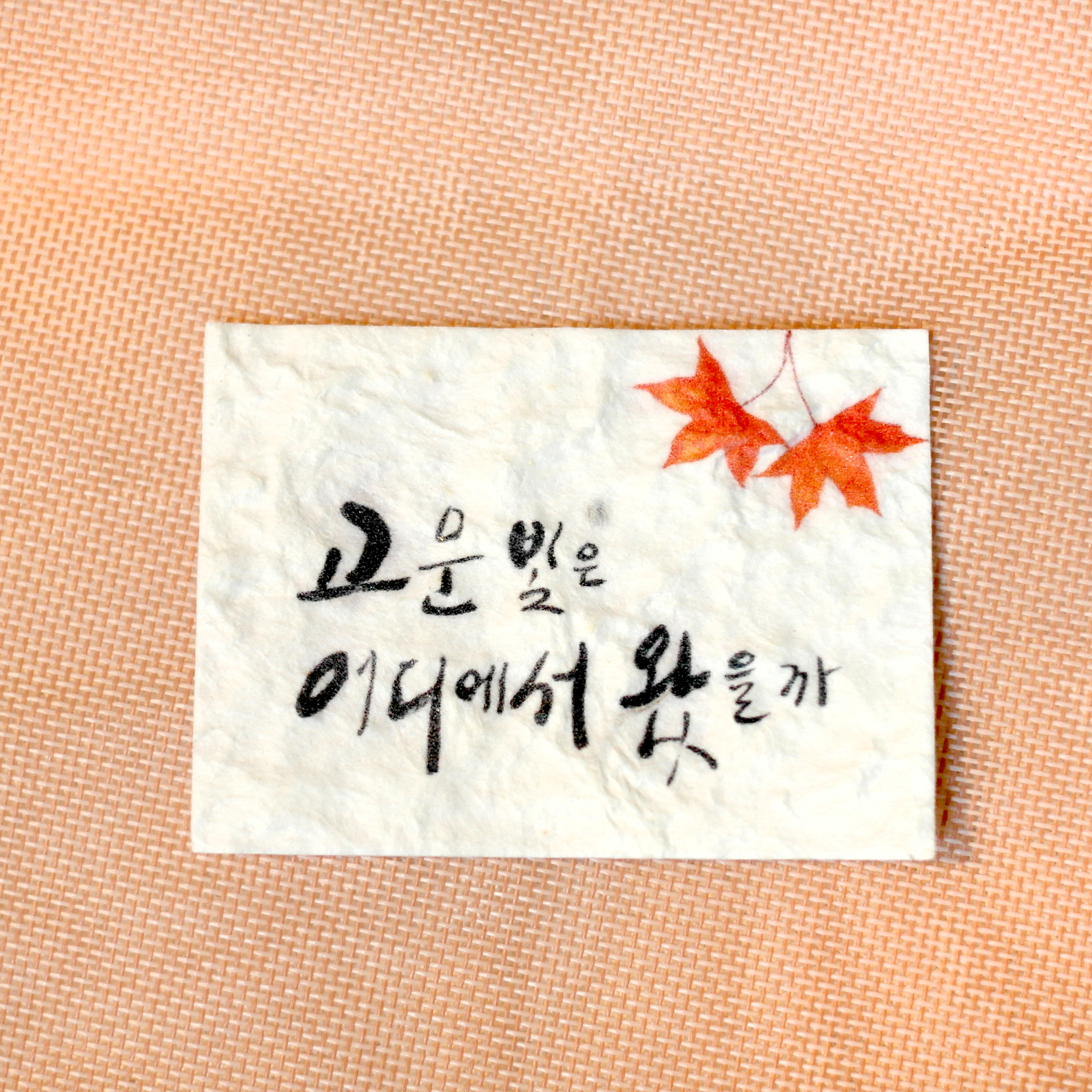 고운빛은 어디에서 왔을까